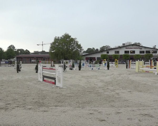 Reitturnier Achern 2019
