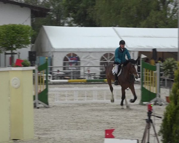 Reitturnier Achern 2019
