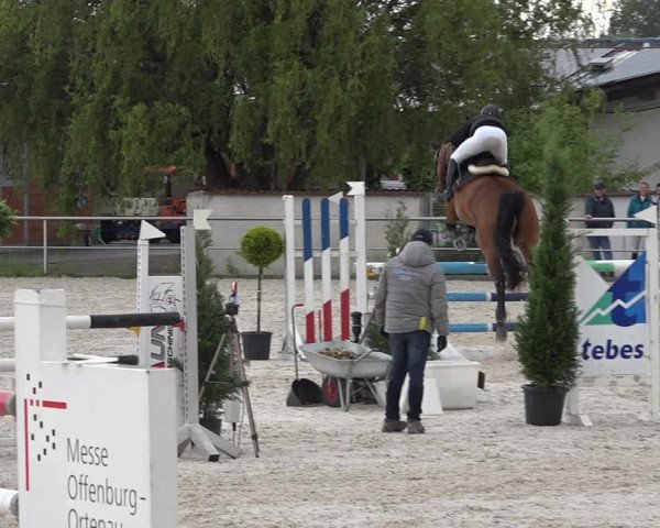 Reitturnier Achern 2019