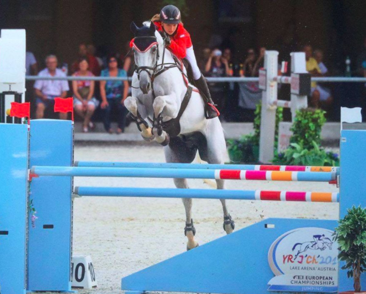 jumper Carrion de Los Condes (Austrian Warmblood, 2002, from Calmiro)