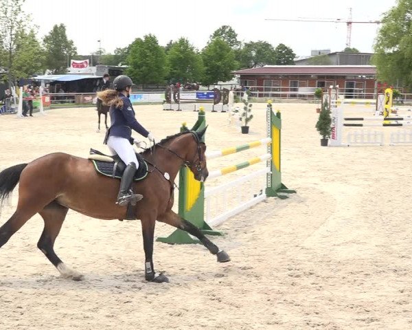 Reitturnier Achern 2019