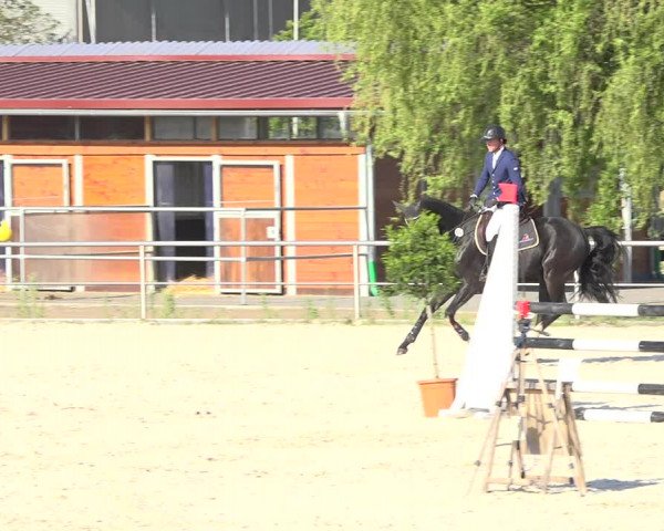 Reitturnier Achern 2019