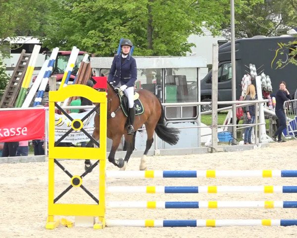 Reitturnier Achern 2019