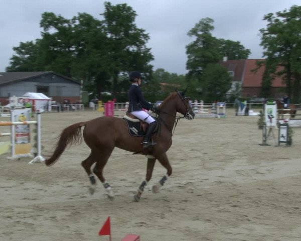 Reitturnier Ostenfelde-Vornholz 2019