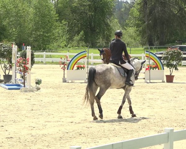Reitturnier Isny-Rohrdorf 2019
