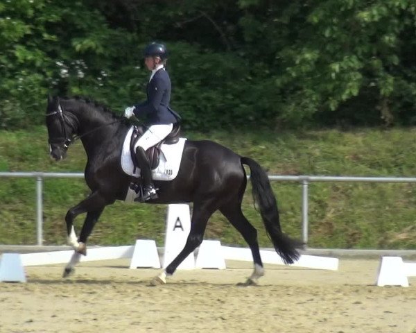 Reitturnier Ladenburg 2019