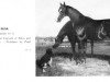 broodmare Elisa II H (Hackney (horse/pony), 1853, from Corsair H)