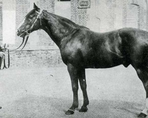 stallion Phaeton (FR) (French Trotter, 1871, from The Heir of Linne xx)