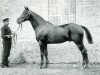 stallion James Watt (FR) (French Trotter, 1887, from Phaeton (FR))