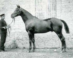 stallion James Watt (FR) (French Trotter, 1887, from Phaeton (FR))