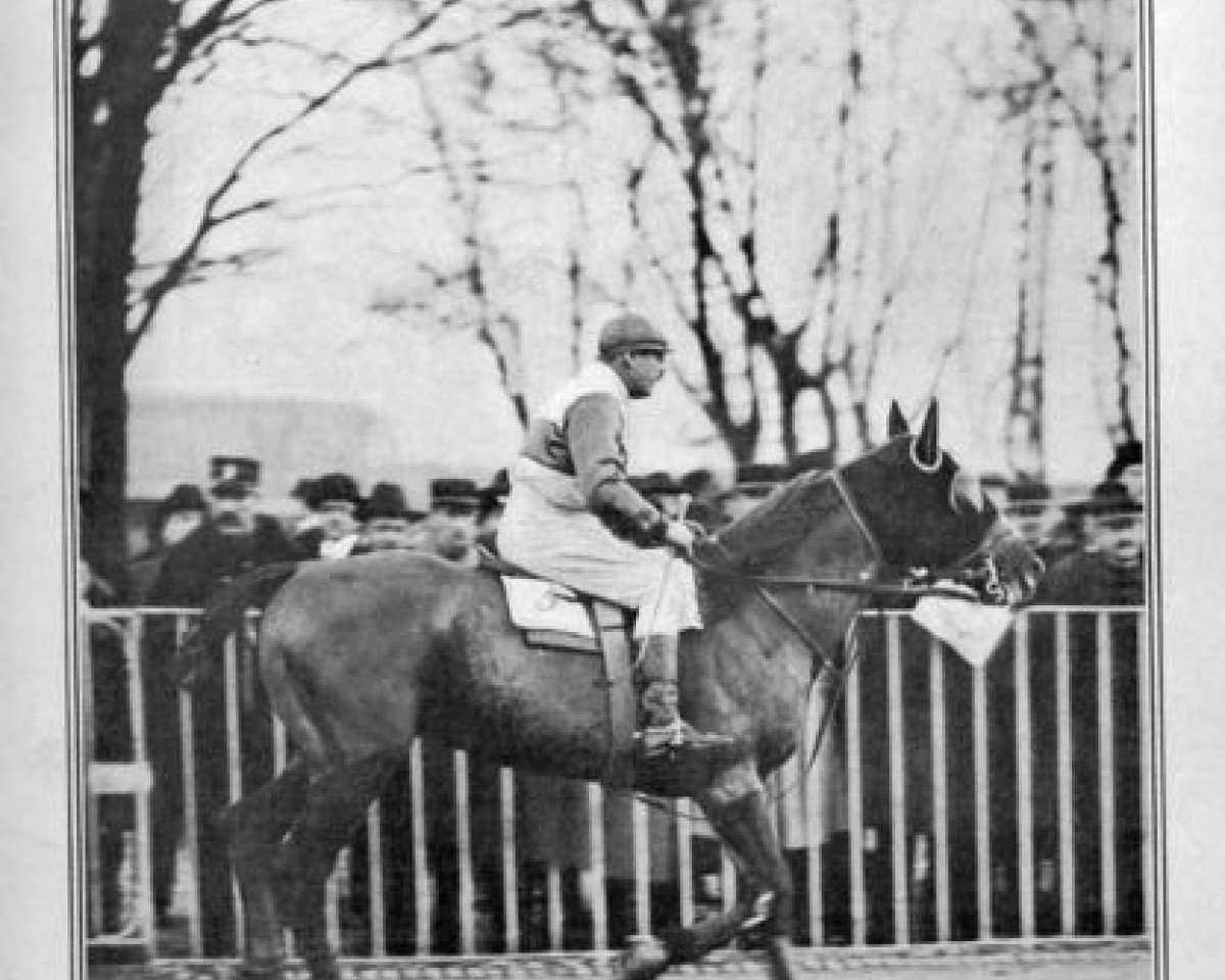stallion Quo Vadis (FR) (French Trotter, 1916, from Enoch (FR))