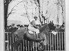 stallion Quo Vadis (FR) (French Trotter, 1916, from Enoch (FR))