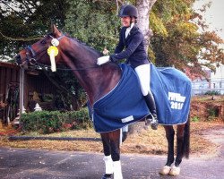 dressage horse Funkensee 2 (Oldenburg, 2005, from Fürstenreich)