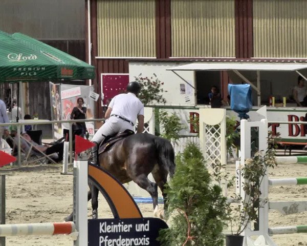 Reitturnier Herxheim 2019