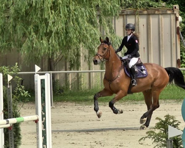 Reitturnier Herxheim 2019