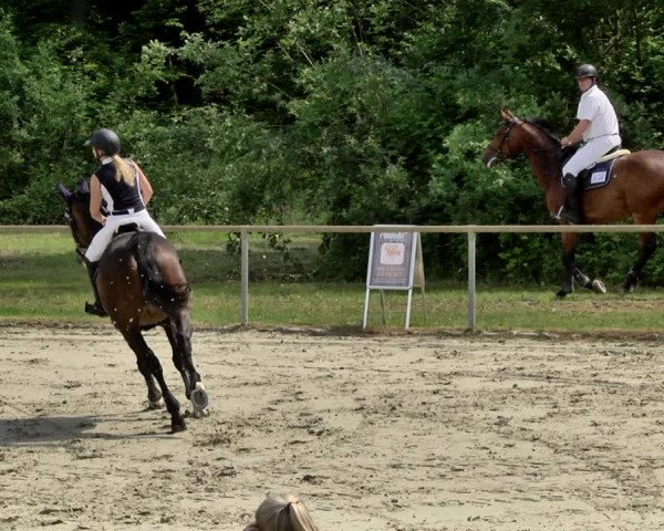 Reitturnier Herxheim 2019