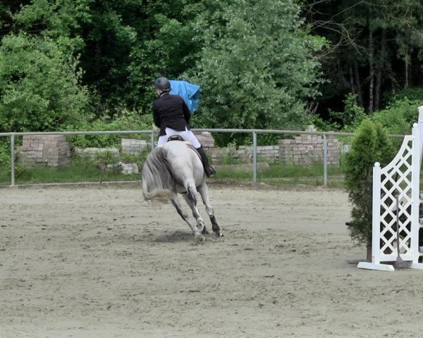 Reitturnier Herxheim 2019