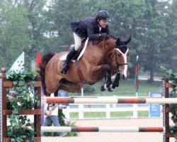 jumper Calvin van het Wuitenshof (Belgian Warmblood, 2002, from Kannan)