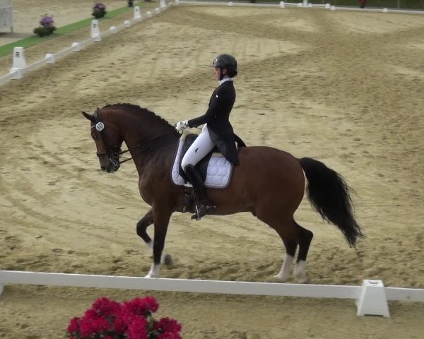 Reitturnier Ladenburg 2019