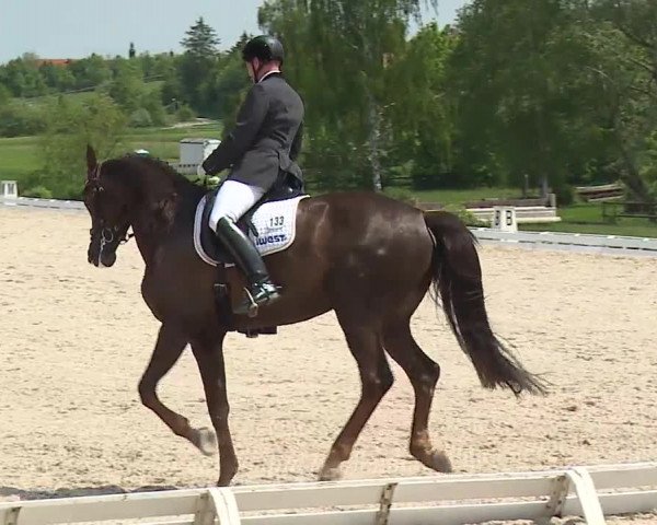 Reitturnier Ansbach/Mfr. 2019