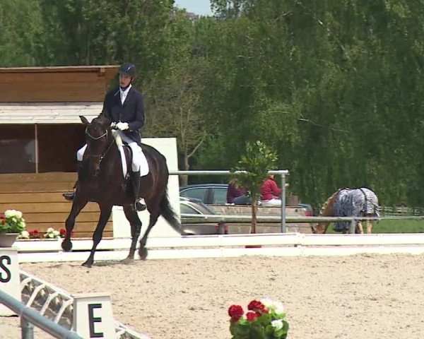 Reitturnier Ansbach/Mfr. 2019