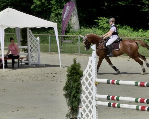 Reitturnier Herxheim 2019