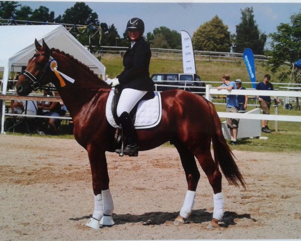 dressage horse Bon Brilliant M (Bavarian, 2012, from Bon Bravour)