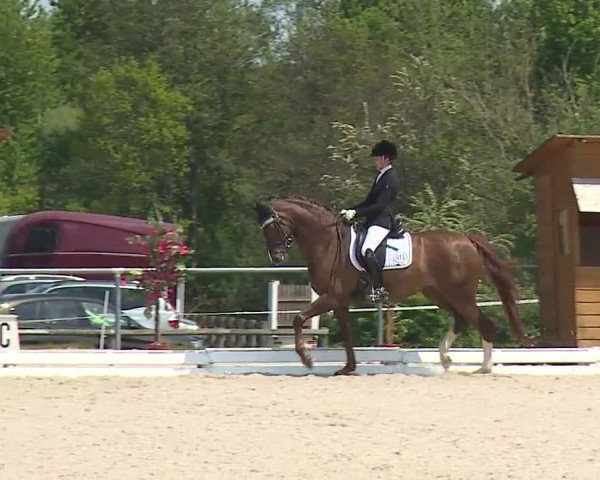 Reitturnier Ansbach/Mfr. 2019
