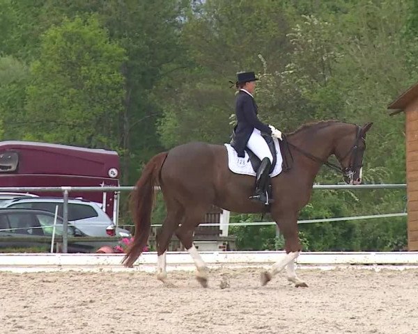 Reitturnier Ansbach/Mfr. 2019