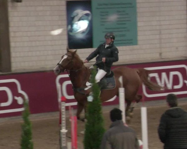 Reitturnier Heilbronn 2021