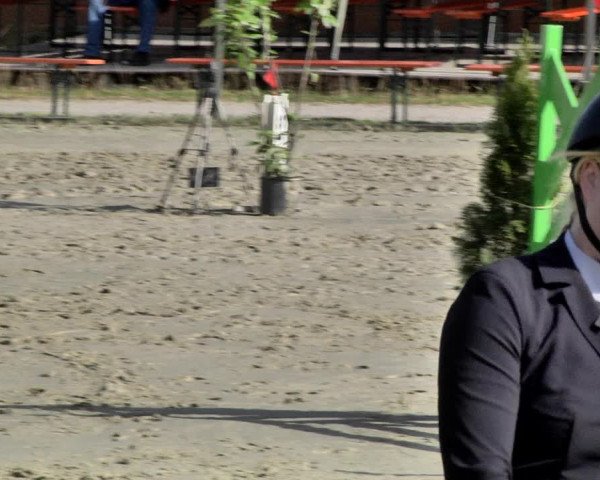 Reitturnier Herxheim 2019