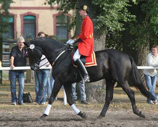 stallion Weltruhm (Hanoverian, 1990, from Weltmeyer)