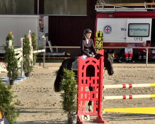 Reitturnier Herxheim 2019