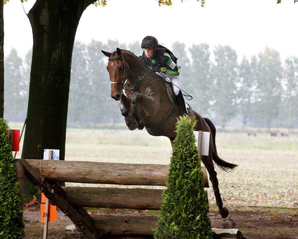 broodmare Van Schijndel's Concrex Owaola (KWPN (Royal Dutch Sporthorse), 1996, from Indoctro)