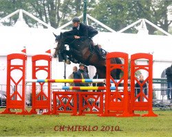 jumper van Schijndel's Hickstead II (KWPN (Royal Dutch Sporthorse), 2004, from Hamlet)