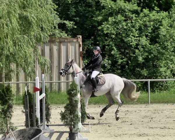 Reitturnier Herxheim 2019