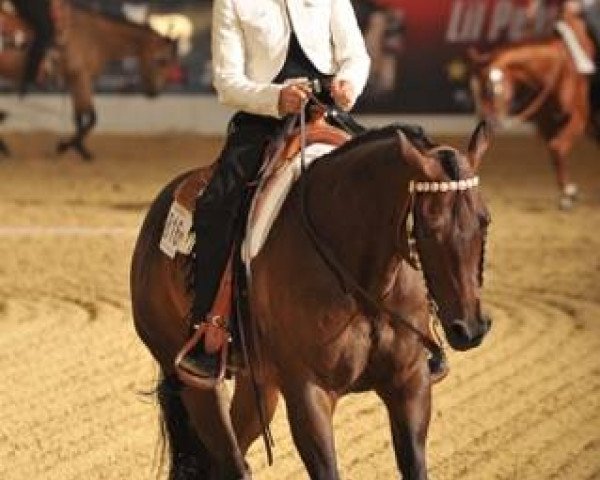 Pferd Dressed Red By Coosa (Quarter Horse, 2011)