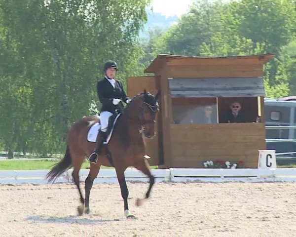 Reitturnier Ansbach/Mfr. 2019
