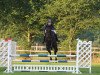 jumper San Salvador 40 (Oldenburg show jumper, 2011, from Sandro Boy)