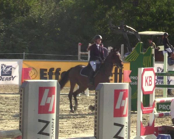 Reitturnier Ascheberg 2021