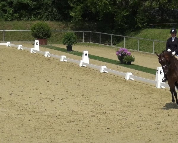 Reitturnier Ladenburg 2019
