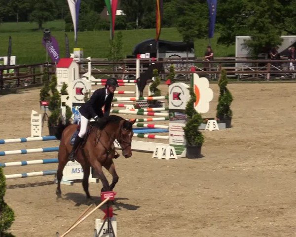 Reitturnier Kirchhellen/Stall Dieckmann 2019
