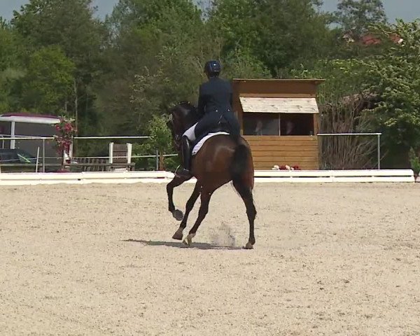 Reitturnier Ansbach/Mfr. 2019
