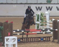 jumper Contino 72 (Oldenburg show jumper, 2011, from Conthargos)