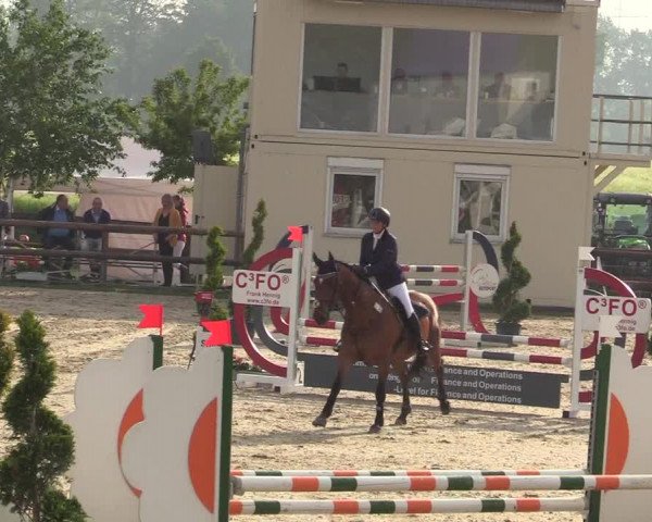 Reitturnier Kirchhellen/Stall Dieckmann 2019
