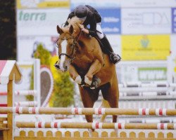 jumper Epke 5 (KWPN (Royal Dutch Sporthorse), 2009, from Couleur Rouge)