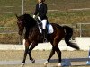 dressage horse Scaramuccio SA (Austrian Warmblood, 2009, from Sunny Boy)