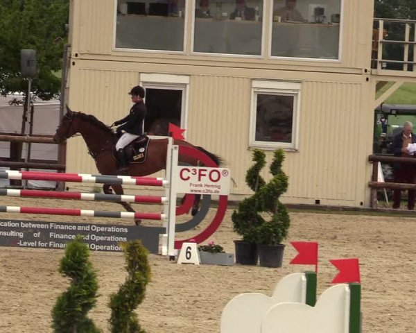 Reitturnier Kirchhellen/Stall Dieckmann 2019