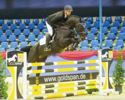 jumper Café's Countess (Oldenburg show jumper, 2011, from Cafe au lait 2)