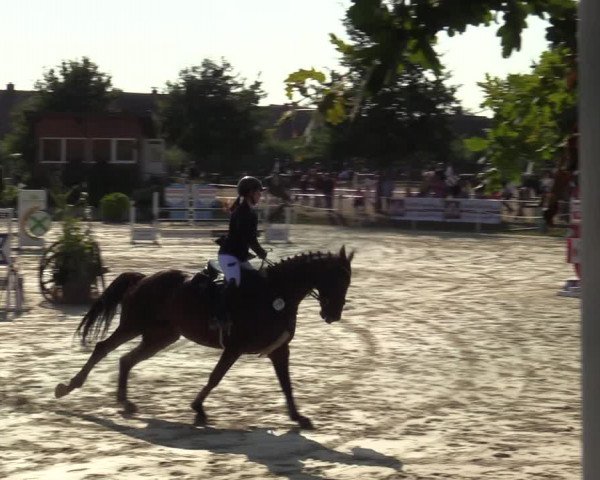 Reitturnier Ascheberg 2021